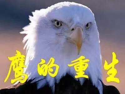 圖片1.png